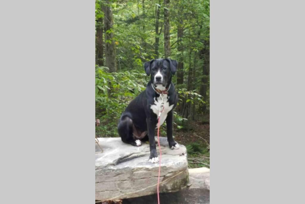 Pet Friendly Holiday home Roscoe