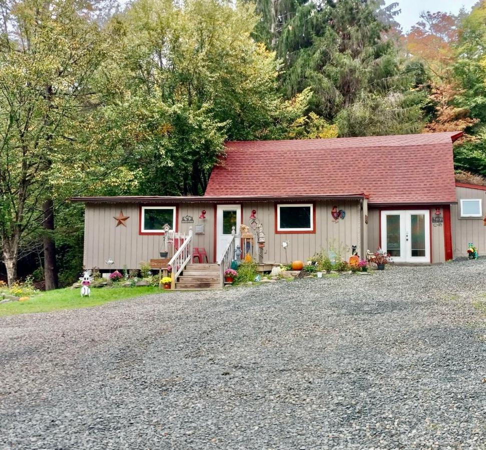 Pet Friendly Holiday home